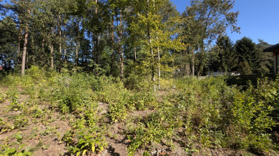 Działka budowlana w Justynowie - Justynów  -
Łódzkie Zdjęcie nr 10