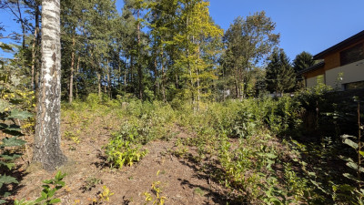 Działka budowlana w Justynowie - Justynów  -
Łódzkie Zdjęcie nr 13