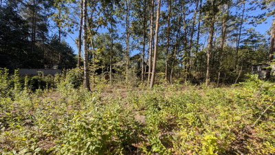 Działka budowlana w Justynowie - Justynów  -
Łódzkie Zdjęcie nr 14