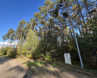 Piękne leśne działki z MPZP - woda prąd asfalt - Chociszew  -
Łódzkie Zdjęcie nr 11