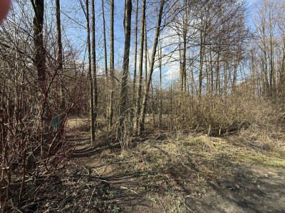 Działka budowlana 889 m2 Zofiówka gmina Tuszyn - Zofiówka  -
Łódzkie Zdjęcie nr 2