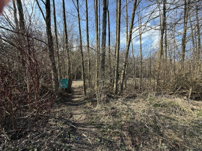 Działka budowlana 889 m2 Zofiówka gmina Tuszyn - Zofiówka  -
Łódzkie Zdjęcie nr 5