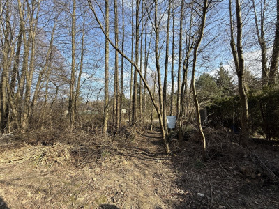 Działka budowlana 889 m2 Zofiówka gmina Tuszyn - Zofiówka  -
Łódzkie Zdjęcie nr 7