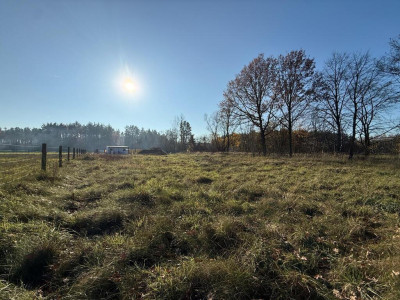 Działka 1512 m w Miłkowie blisko lasu - Miłkowo  -
Wielkopolskie Zdjęcie nr 6