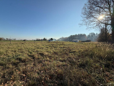 Działka 1512 m w Miłkowie blisko lasu - Miłkowo  -
Wielkopolskie Zdjęcie nr 7