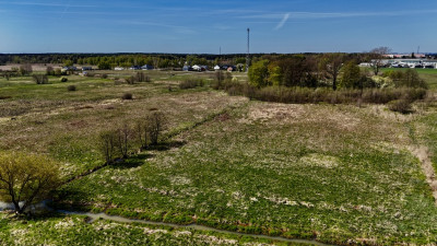 POCZUJ SWOBODĘ PŁASKIE 5 HA CZEKA NA CIEBIE - Piotrków Trybunalski  -
Łódzkie Zdjęcie nr 10