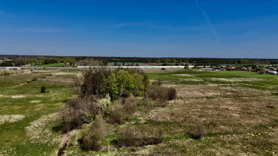 POCZUJ SWOBODĘ PŁASKIE 5 HA CZEKA NA CIEBIE - Piotrków Trybunalski  -
Łódzkie Zdjęcie nr 5