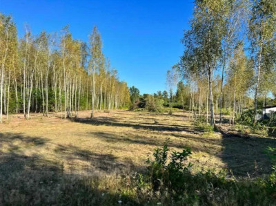 Działka z WZ nad J Białym Buduj już na wiosnę - Orchówek  -
Lubelskie Zdjęcie nr 4