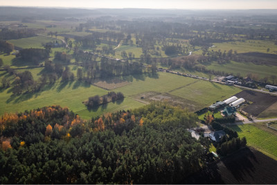 Działka z Warunkami Zabudowy - 3003 m2 k Chełmna - Dolne Wymiary  -
Kujawsko-Pomorskie Zdjęcie nr 4