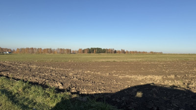 Działka inwestycyjna na sprzedaż  Dąbrówka Wielka - Dąbrówka Wielka  -
Łódzkie Zdjęcie nr 2