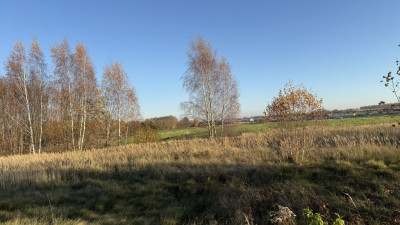 Działka inwestycyjna na sprzedaż  Dąbrówka Wielka - Dąbrówka Wielka  -
Łódzkie Zdjęcie nr 4