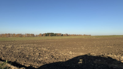Działka inwestycyjna na sprzedaż  Dąbrówka Wielka - Dąbrówka Wielka  -
Łódzkie Zdjęcie nr 6