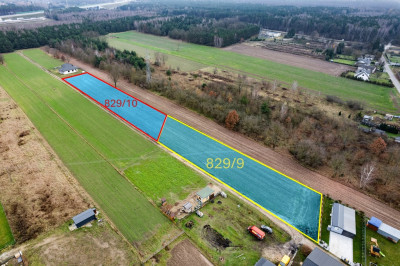 3002 m natury i spokoju w Gręzowie - Gręzów  -
Mazowieckie Zdjęcie nr 4