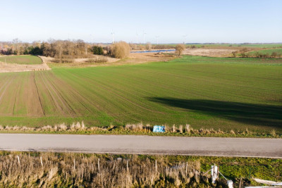 Działka budowlana z MPZP - Czarnowo k Pyrzyc - Czarnowo  -
Zachodniopomorskie Zdjęcie nr 5