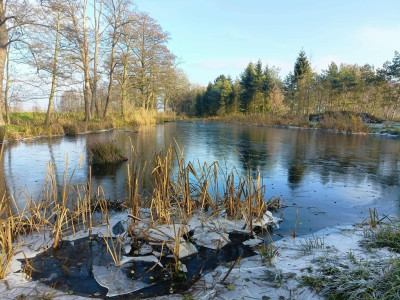 Wymarzone siedlisko - las jezioro rzeka - Uniemyśl  -
Zachodniopomorskie Zdjęcie nr 11