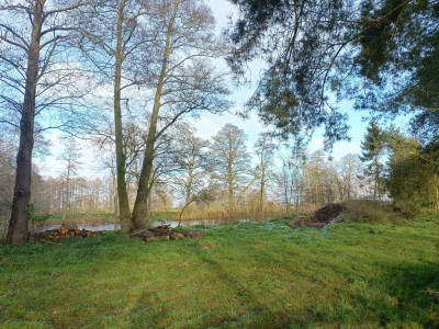 Wymarzone siedlisko - las jezioro rzeka - Uniemyśl  - Zachodniopomorskie