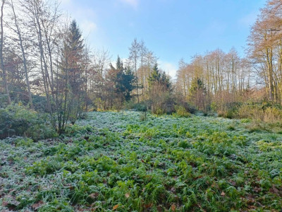Wymarzone siedlisko - las jezioro rzeka - Uniemyśl  -
Zachodniopomorskie Zdjęcie nr 2