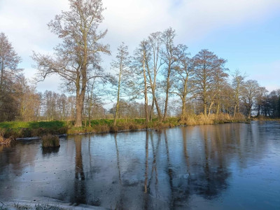 Wymarzone siedlisko - las jezioro rzeka - Uniemyśl  -
Zachodniopomorskie Zdjęcie nr 6