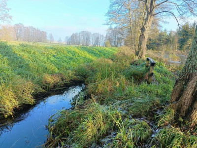 Wymarzone siedlisko - las jezioro rzeka - Uniemyśl  -
Zachodniopomorskie Zdjęcie nr 9