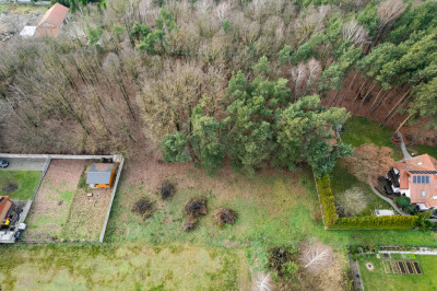 Poranki w domu wieczory w lesie - Nowe Iganie  -
Mazowieckie Zdjęcie nr 10