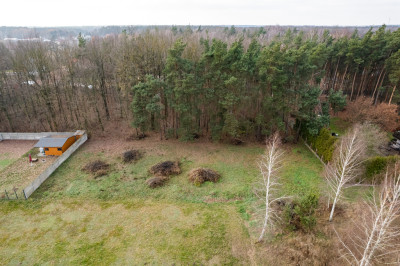 Poranki w domu wieczory w lesie - Nowe Iganie  -
Mazowieckie Zdjęcie nr 11