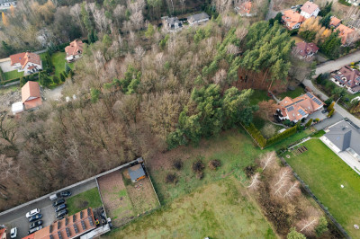 Poranki w domu wieczory w lesie - Nowe Iganie  -
Mazowieckie Zdjęcie nr 12