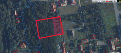 Poranki w domu wieczory w lesie - Nowe Iganie  -
Mazowieckie Zdjęcie nr 13