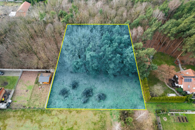 Poranki w domu wieczory w lesie - Nowe Iganie  -
Mazowieckie Zdjęcie nr 2