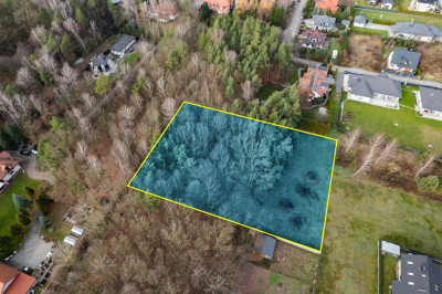 Poranki w domu wieczory w lesie - Nowe Iganie  -
Mazowieckie Zdjęcie nr 4