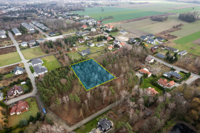 Poranki w domu wieczory w lesie - Nowe Iganie  -
Mazowieckie Zdjęcie nr 6