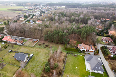 Poranki w domu wieczory w lesie - Nowe Iganie  -
Mazowieckie Zdjęcie nr 8