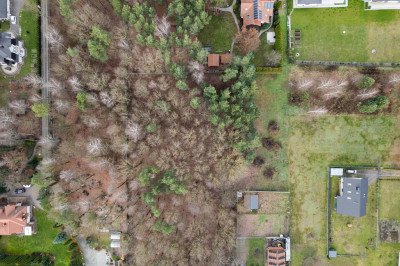 Poranki w domu wieczory w lesie - Nowe Iganie  -
Mazowieckie Zdjęcie nr 9