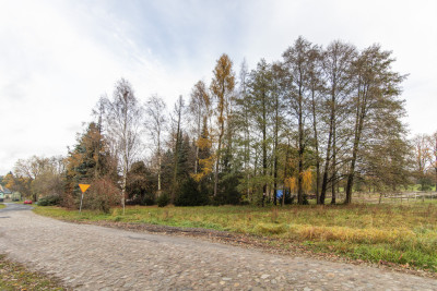 Płaska działka 134 ha idealna pod inwestycję - Drzeniów  -
Lubuskie Zdjęcie nr 7