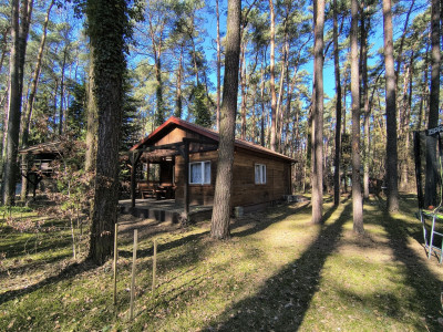 Adres dla tych którzy słyszą ciszę - Sokolniki-Las  -
Łódzkie Zdjęcie nr 2