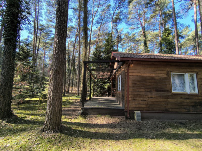 Adres dla tych którzy słyszą ciszę - Sokolniki-Las  -
Łódzkie Zdjęcie nr 3