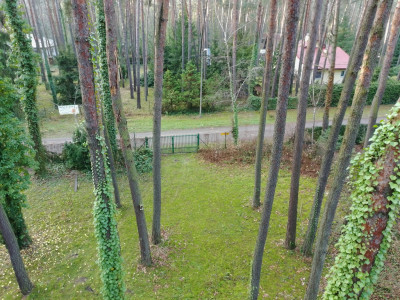 Adres dla tych którzy słyszą ciszę - Sokolniki-Las  -
Łódzkie Zdjęcie nr 8