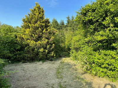 Ogrodzona działka budowlana - 25 arów z mediami - Wodzisław Śląski  -
Śląskie Zdjęcie nr 6