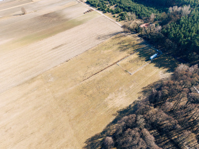 Działka 414 ha z zabudową zagrodową w Modlnej - Modlna  -
Łódzkie Zdjęcie nr 5