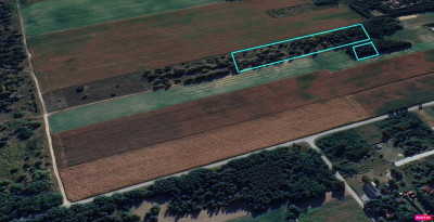 Tymianka - działki 12031614 m MPZP - Tymianka  - Łódzkie