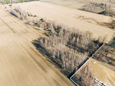 Tymianka - działki 12031614 m MPZP - Tymianka  -
Łódzkie Zdjęcie nr 3