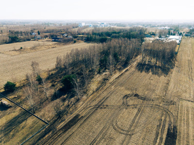 Tymianka - działki 12031614 m MPZP - Tymianka  -
Łódzkie Zdjęcie nr 4