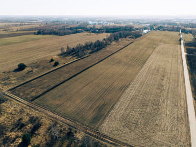 Tymianka - działki 12031614 m MPZP - Tymianka  -
Łódzkie Zdjęcie nr 6