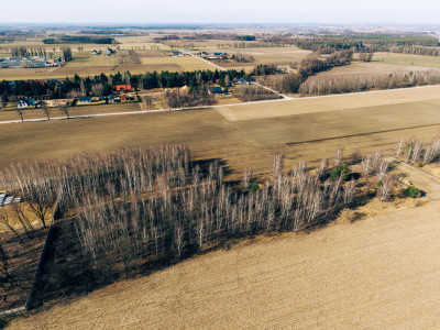 Tymianka - działki 12031614 m MPZP - Tymianka  -
Łódzkie Zdjęcie nr 9