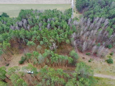 Twoja oaza w lesie - Romanów  -
Łódzkie Zdjęcie nr 12