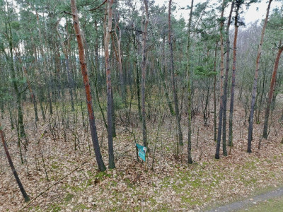 Twoja oaza w lesie - Romanów  -
Łódzkie Zdjęcie nr 13