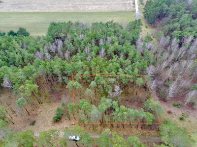 Twoja oaza w lesie - Romanów  -
Łódzkie Zdjęcie nr 2