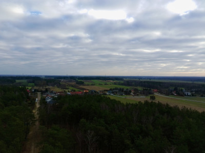 Twoja oaza w lesie - Romanów  -
Łódzkie Zdjęcie nr 3