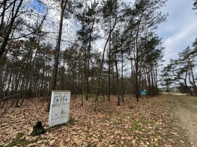 Twoja oaza w lesie - Romanów  -
Łódzkie Zdjęcie nr 4