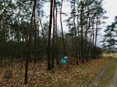 Twoja oaza w lesie - Romanów  -
Łódzkie Zdjęcie nr 6