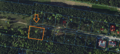 Twoja oaza w lesie - Romanów  -
Łódzkie Zdjęcie nr 7